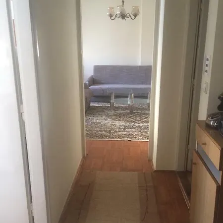 Zen Apartament *
